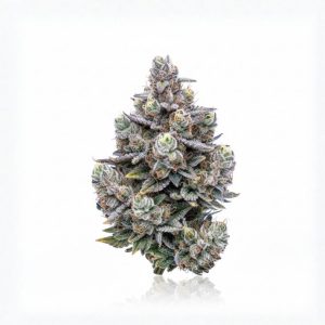 Watermelon Zkittles Hydro Pack